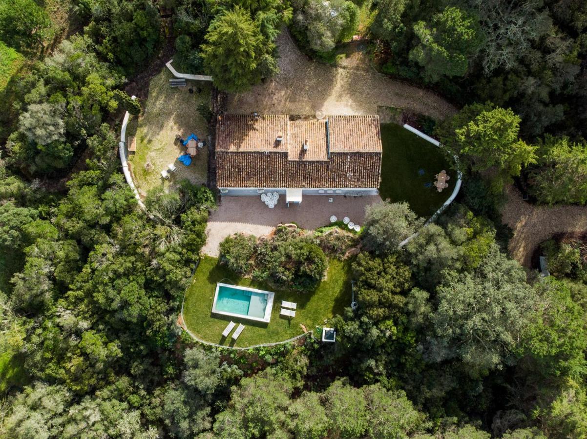 Quinta Da Arrabida Villa Sesimbra Bagian luar foto